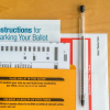 Virginia Abortion Ballot Measure Heads to Court of Appeals